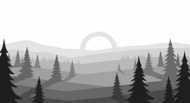 Black Pine Trees in Forest Landscape.