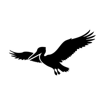 pelican silhouette vector