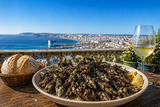 Authentic Galician Percebes Seafood with Rustic Bread and Chilled White Wine on Rooftop Terrace Overlooking A Coru&ntilde;a Spain Under Clear Spring Sky