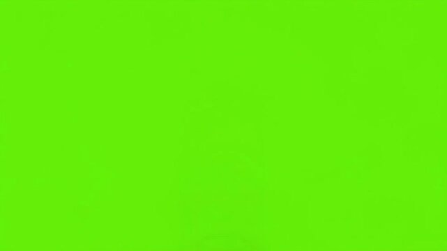 2D Vector Medical Capsule Pill Pop Up Animation with Shield Protection on Green Screen Background
