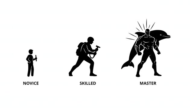 Novice to master skill level progression silhouette