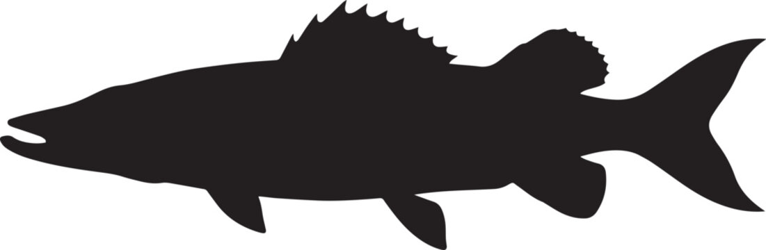 Walleye pike fish silhouette isolated on white background, professional vector graphic for fishing tournament logos and seafood branding