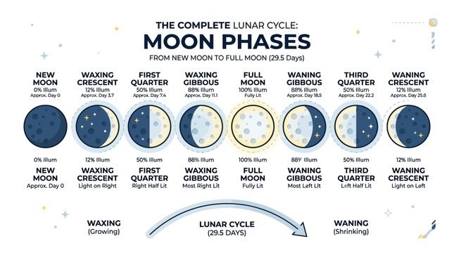 The complete lunar cycle moon phases.
