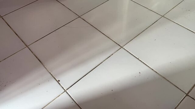 Damaged Ceramic Tiles on Floor with Cracks and Dirty Lines