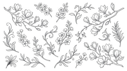 Fototapeta premium Beautiful delicate flower branches set of line art illustrations.