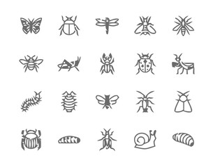 Fototapeta premium Comprehensive Line Art Icon Set Featuring Diverse Insects and Arthropods