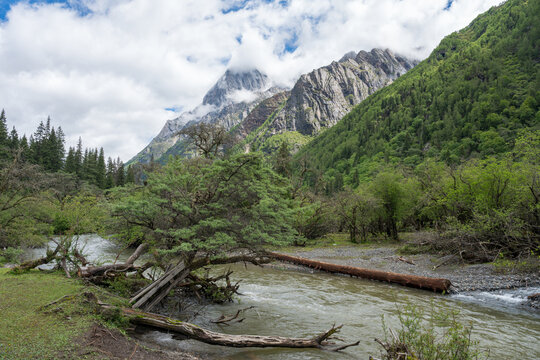 River Scenery in the Valley