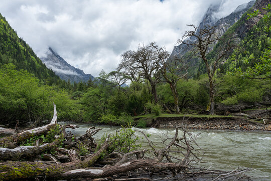 River Scenery in the Valley