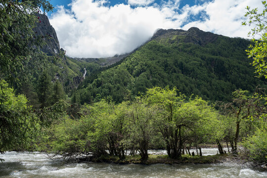 River Scenery in the Valley