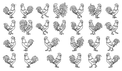 Rooster and Cockerel Line Art Vector Icon Set Featuring Diverse Chicken Poses for Farm Logos, Editorial Designs, and Organic Product Branding © Md