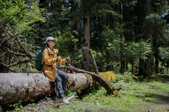The hiker sits on a dead tree in the forest to rest