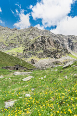 Fototapeta premium Alpine garden in the mountains with old pasture, Valmalenco landscape