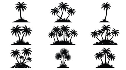 Obraz premium Detailed black vector illustration set of tropical palm tree silhouettes