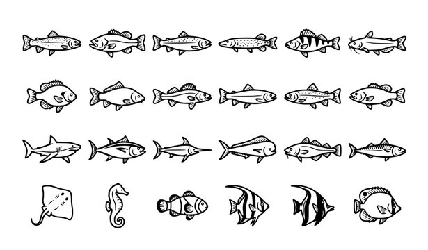 Monochrome fish collection editable vector illustration