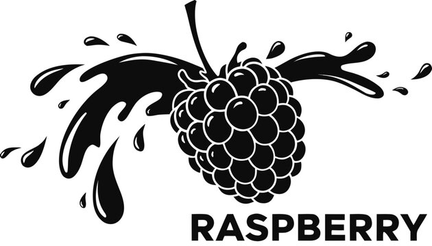 Very beautiful black and white vector of a RASPBERRY with a bold label reading "RASPBERRY", featuring detailed berry texture, realistic drupelets, energetic juice splash, and fresh natural styling, is