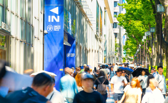 初夏の東京・表参道
