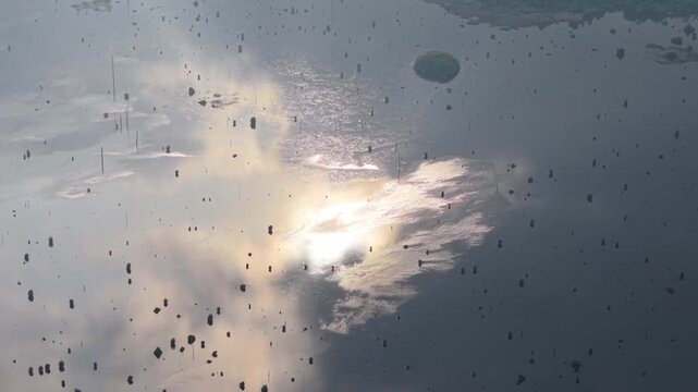 Many skydivers plummet through clouds, sunlight illuminates their parachutes