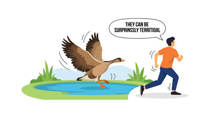 Canada goose chasing man, humorous urban wildlife encounter illustration, territorial bird pursuing running pedestrian in public park, funny nature conflict, flat vector design for environmental aware © RASEL