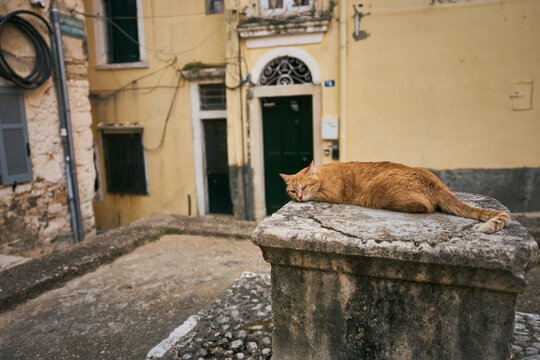 Eine orangefarbene Katze schl&auml;ft auf einem verwitterten Steinsockel in einer alten, engen Gasse in Korfu, Griechenland.
