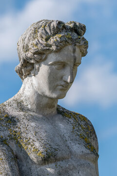 Close-up of Apollo, the Olympian god of the arts and sunlight.