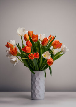 White and red tulips in modern gray vase against gray background