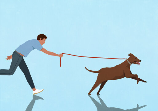 Energetic dog on leash running and pulling man against blue background