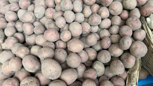 Full frame close up view of a large pile of fresh raw garlic bulbs in a market.