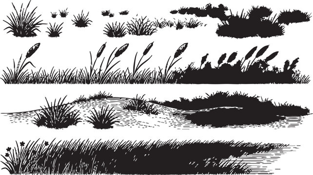 Vector grass and reeds illustration set with various cattail and foliage designs for graphic and design projects in black color