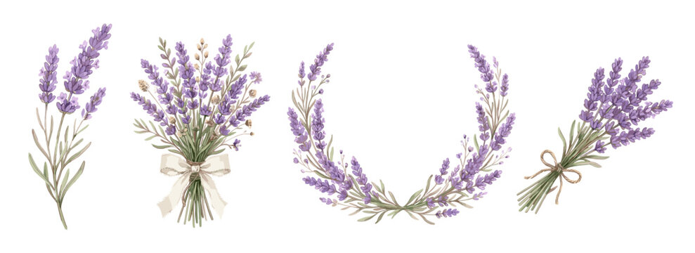 Lavender bouquets and floral wreaths Sets, delicate watercolor botanical illustration, perfect for wedding stationery and spa branding