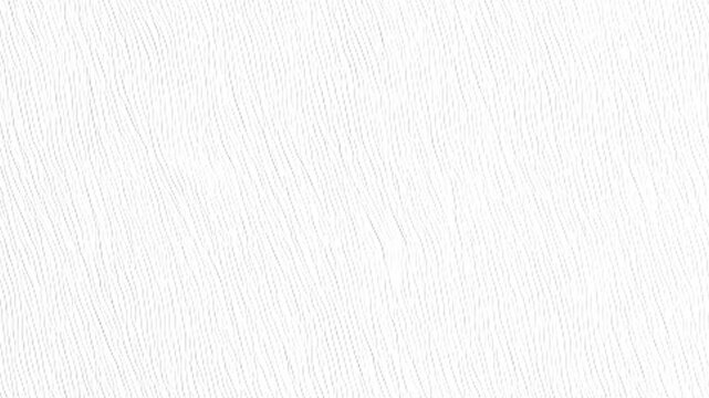 White paper texture background doodle animation.white abstract background.
grunge background.exture of a smooth white sheet of paper.grungy backgrounds and copy space 4K stock.Stop motion animation.