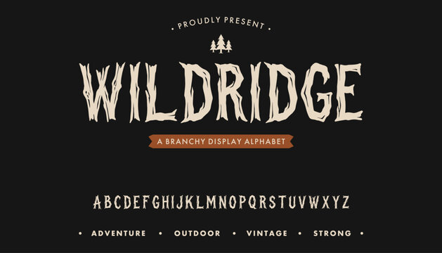 Vintage rustic display alphabet with wood branch texture for outdoor brand identity
