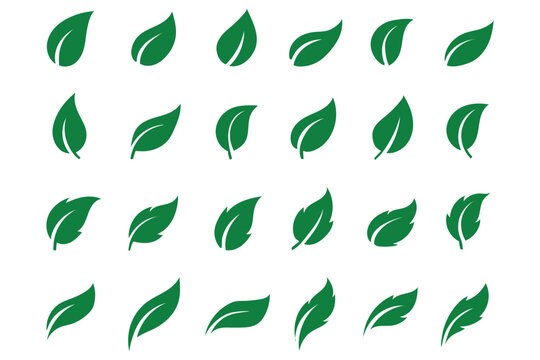 Leaf sprout icon vector set, green leaves plant eco logo symbol simple graphic illustration set, vegan fresh herb pictogram shape sign, organic natural healthy logotype eps 10