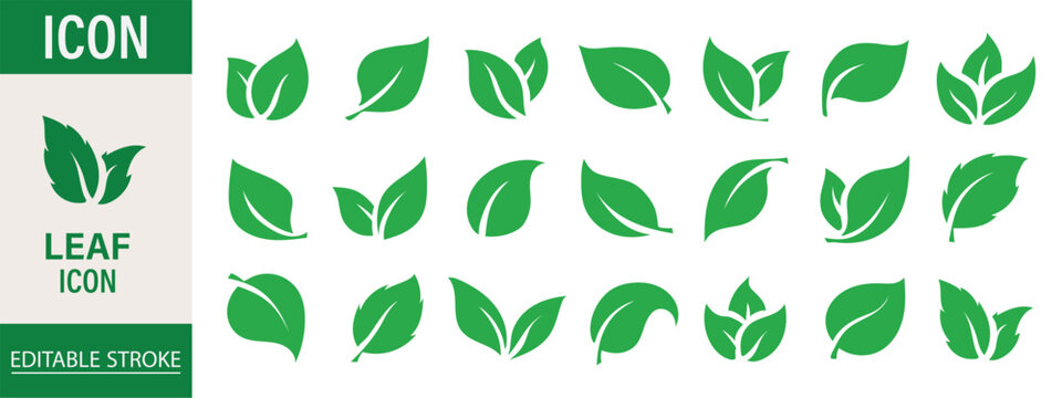Leaf sprout icon vector set, green leaves plant eco logo symbol simple graphic illustration set, vegan fresh herb pictogram shape sign, organic natural healthy logotype eps 10
