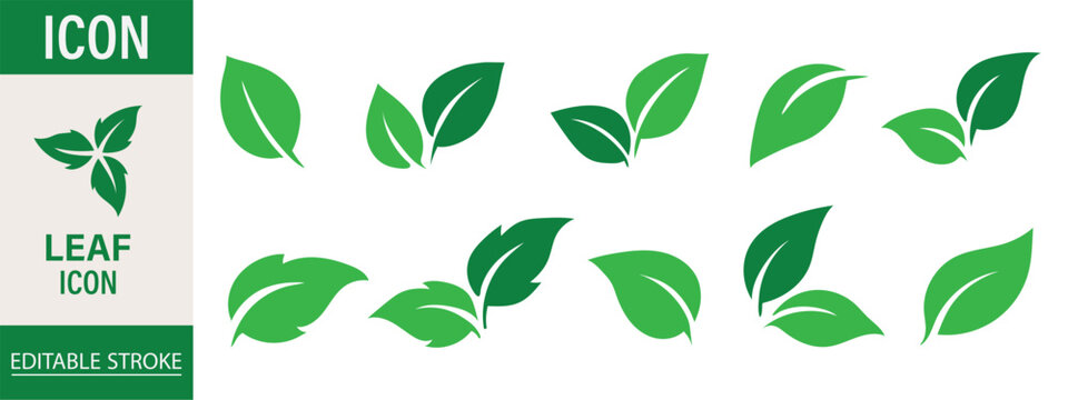 Leaf sprout icon vector set, green leaves plant eco logo symbol simple graphic illustration set, vegan fresh herb pictogram shape sign, organic natural healthy logotype eps 10