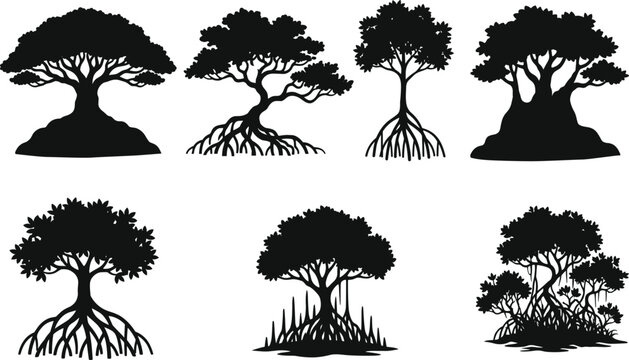 Mangrove Tree Silhouette Collection with Tropical Coastal Trees and Exposed Root Vector Set
