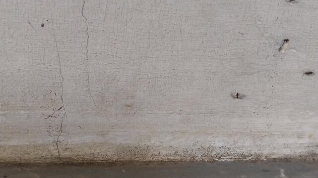 A close-up of a worn, weathered concrete surface with visible cracks, stains, and discoloration