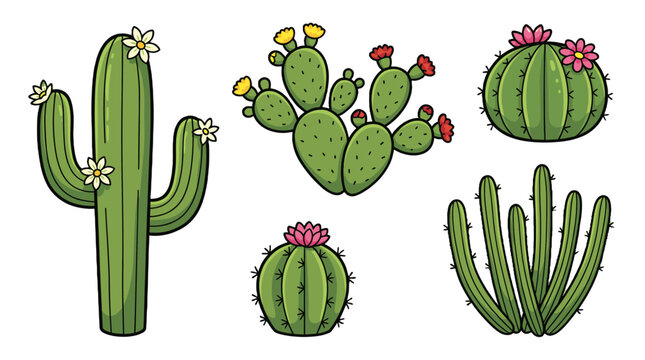 Set of cartoon cactus plants with flowers on white background