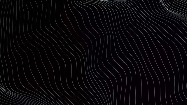 White lines net flowing in waves on black background, flowing white digital wave patterns, curved wave flow web motion pattern with subtle light shifts and abstract movement. 4K
