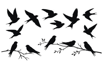 Fototapeta premium Black Silhouette Birds Flying and Perched on Branches Vector Illustration