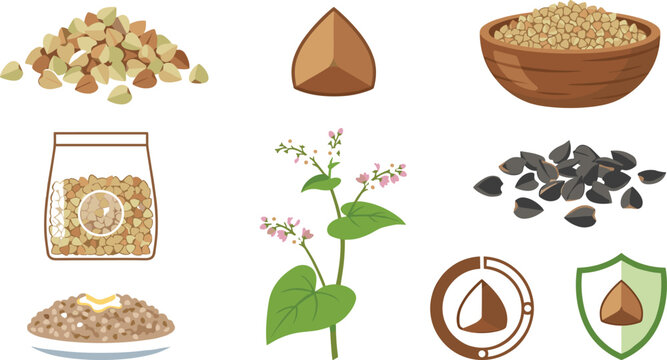 Organic Buckwheat Groats and Superfood Grain Icon Set with Triangular Seeds Raw Kernels Porridge Bowl Flowering Plant and Agriculture Shield Badges