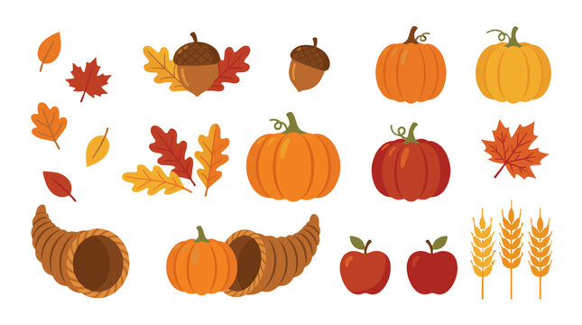 Autumn harvest vector set with pumpkins leaves acorns and apples