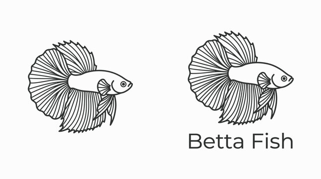 Two line art illustrations of a Betta fish with text.