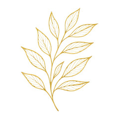 Fototapeta premium PNG Elegant golden leaf illustration.