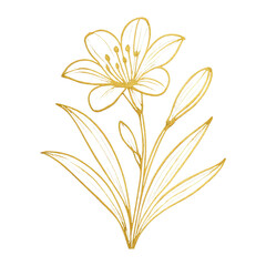 Fototapeta premium PNG Elegant gold floral illustration.