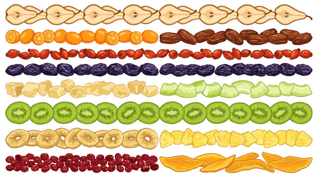 Assorted dried fruit rows isolated on white background