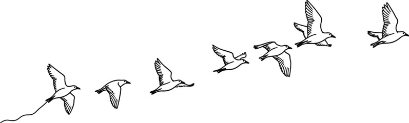 Fototapeta premium Minimalist outline drawing of a flock of birds flying in formation with formation migration minimalist wildlife monochrome isolated background