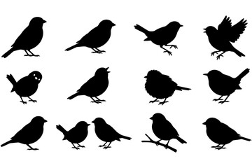 Fototapeta premium Black silhouette birds collection various poses transparent background