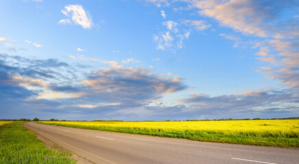 Fototapeta premium Golden field stretches beside a winding road