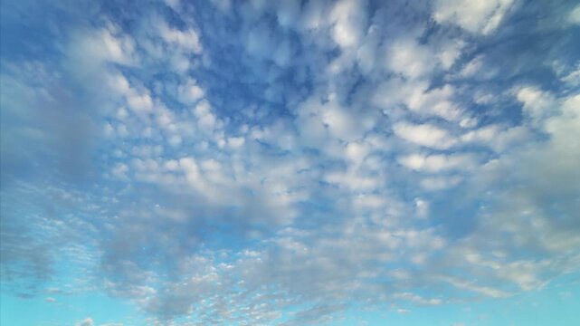 青空とうろこ雲
