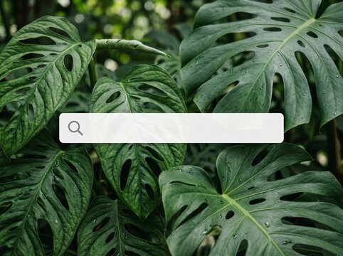 Tropical Green Leaves Search Bar Mockup &ndash; Minimalist Nature Background for Web Design
